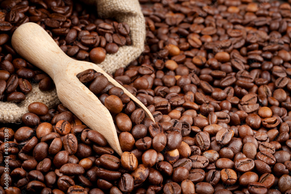 Fototapeta premium coffee beans with wooden scoop