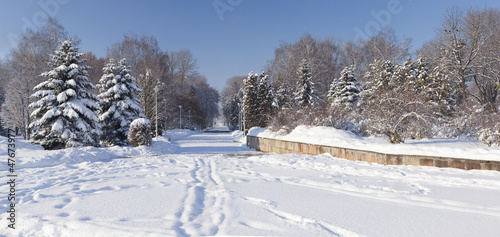 Beautiful winter landscape in the city park. Ternopil. Ukraine