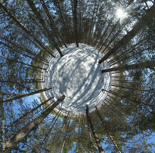 Winter forest, abstract view (little planet)