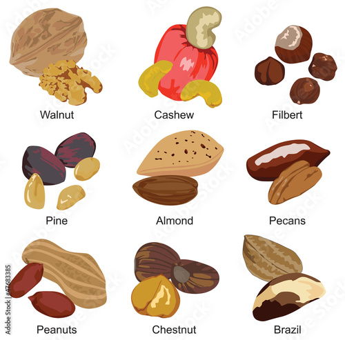 set of different nuts