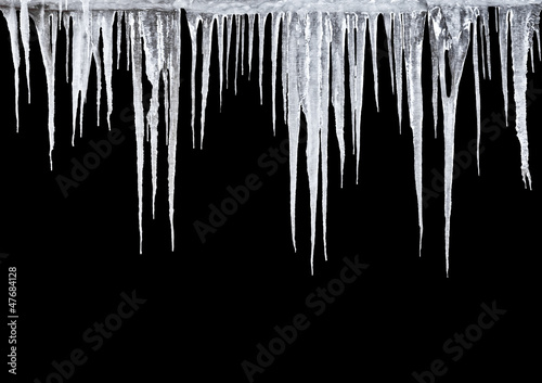Stampa su tela Icicles on a black background