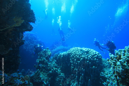 Diving in the Red Sea