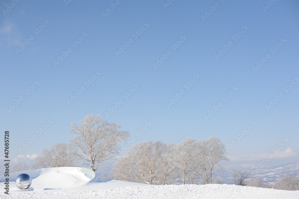 Obraz premium White winter landscape with a snow-covered tree
