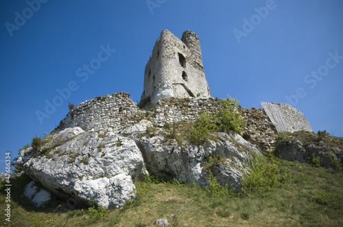 Castle in Mirow, Poland photo
