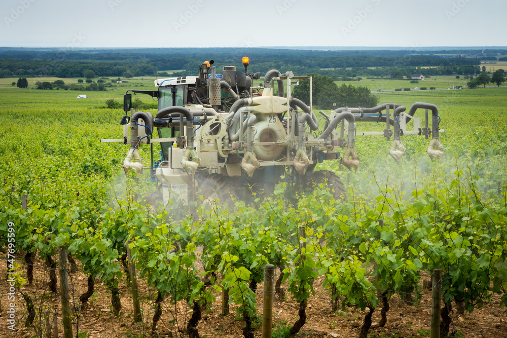 Obraz premium traitement chimique dans les vignes
