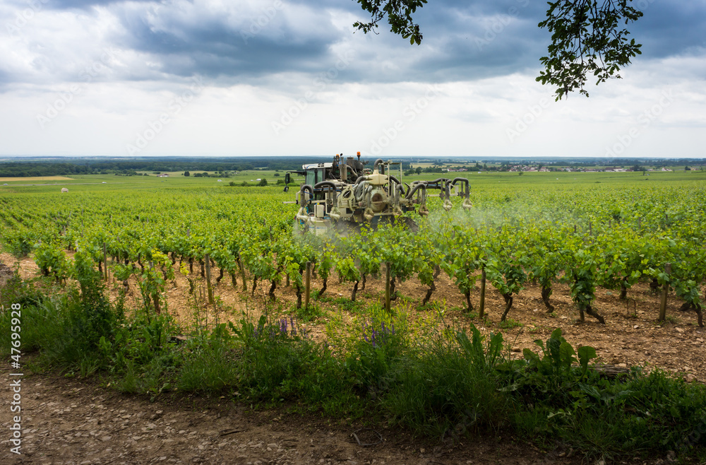 Fototapeta premium traitement chimique dans les vignes