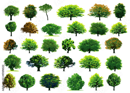 Collection green trees