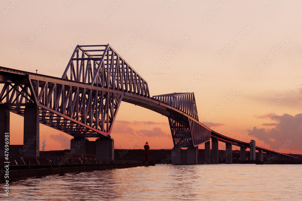 Naklejka premium 東京ゲートブリッジ