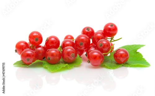 ripe red currants on a white background