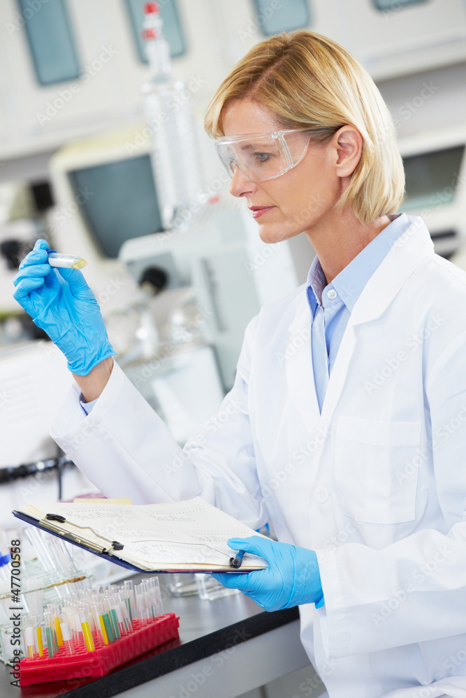 Female Scientist Working In Laboratory Female Scientist Working In Laboratory
