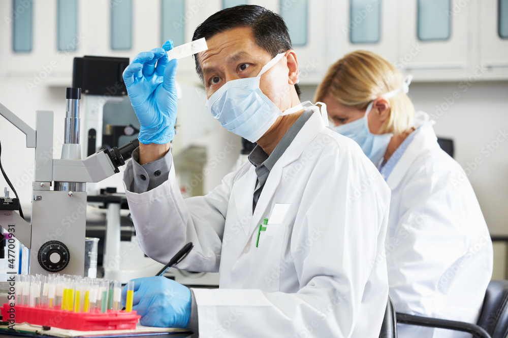 Male And Female Scientists Using Microscopes In Laboratory Male And Female Scientists Using Microscopes In Laboratory