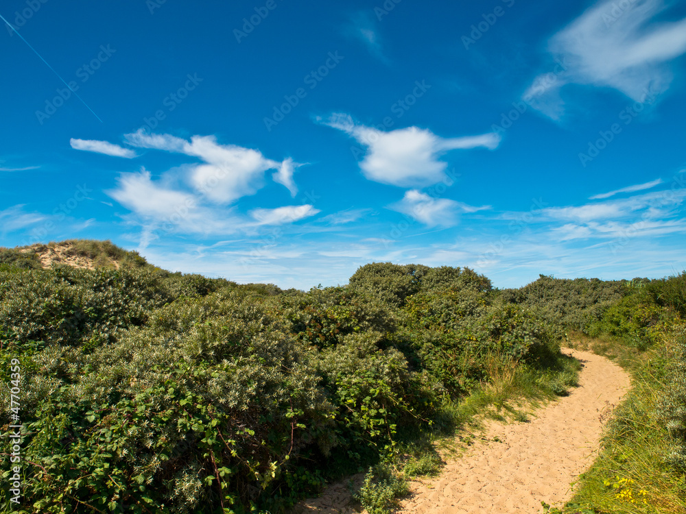Obraz premium Summer landscape at the coast