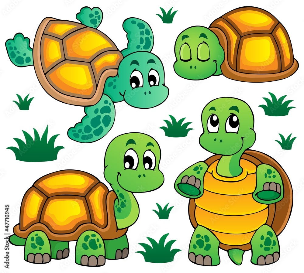 Naklejka premium Image with turtle theme 1