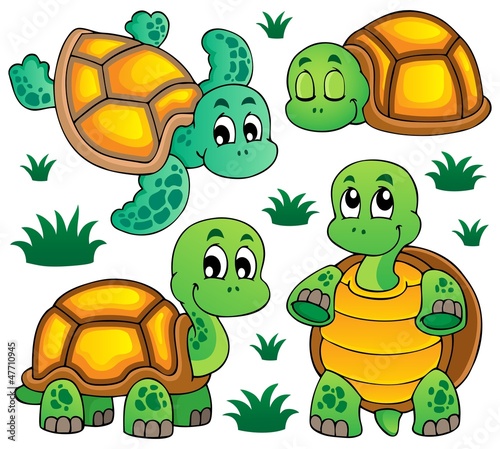 Image with turtle theme 1