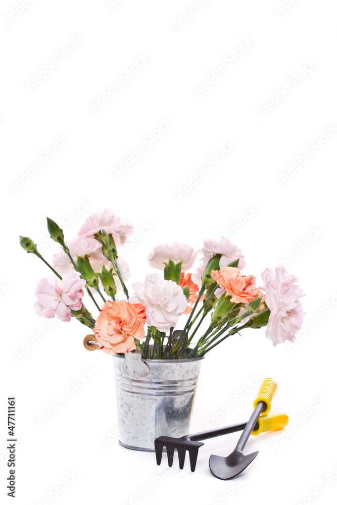 bouquet of carnations in a vase