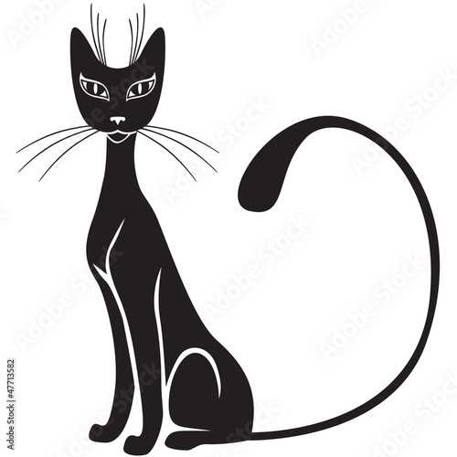 Black cat