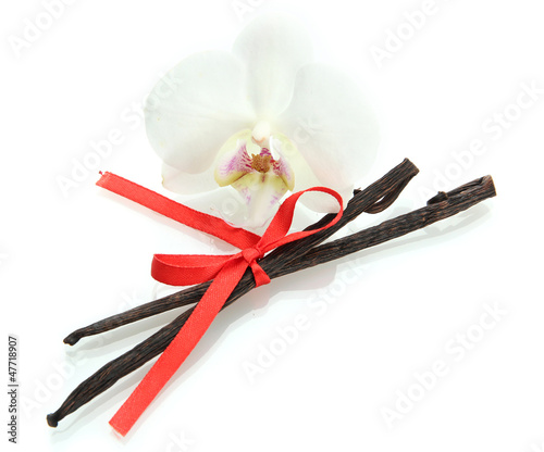 Vanilla pods with flower isolated on white