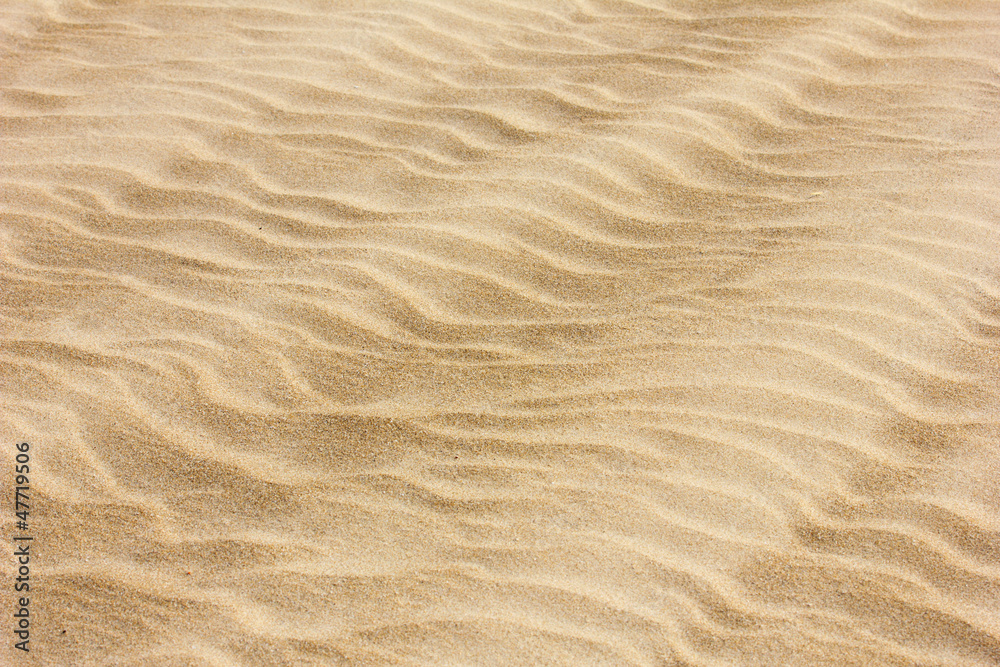 Fototapeta premium yellow sand texture