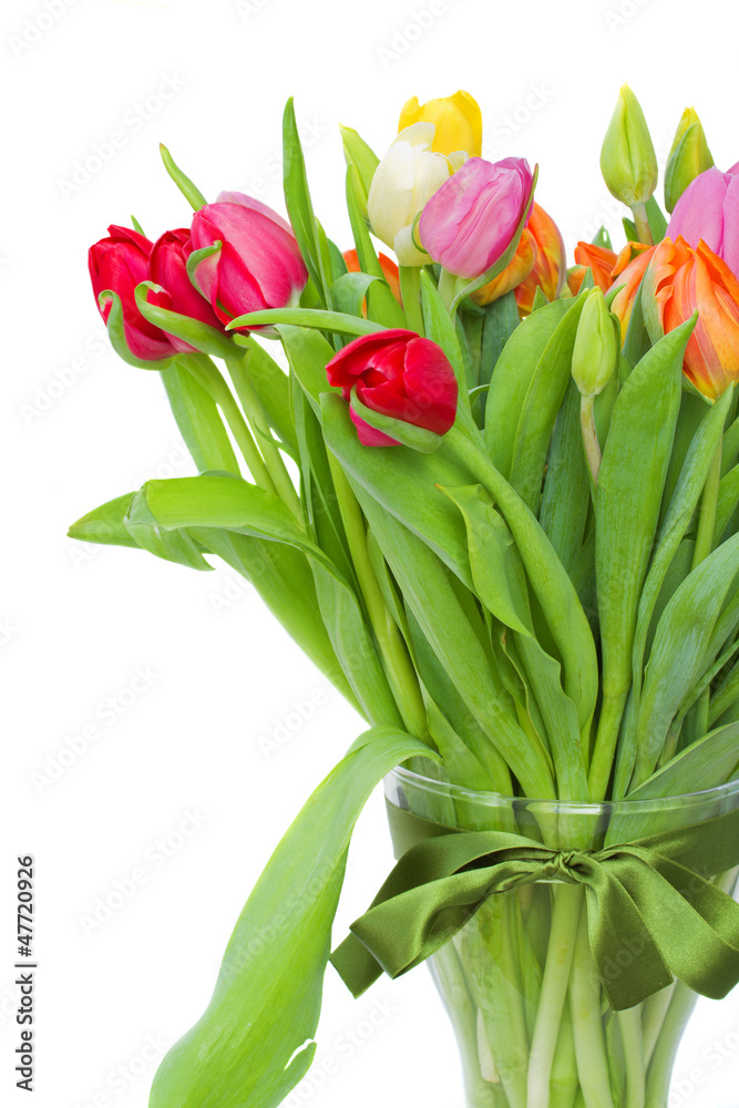 bouquet of tulips close up bouquet of tulips close up