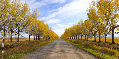 Beautiful Rural scene