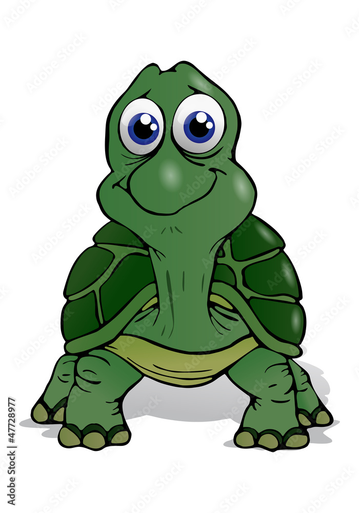 cute baby turtle cute baby turtle