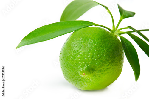 Fresh lime
