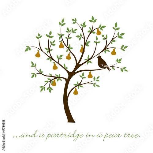 Partridge in a pear tree Christmas card in vector format.