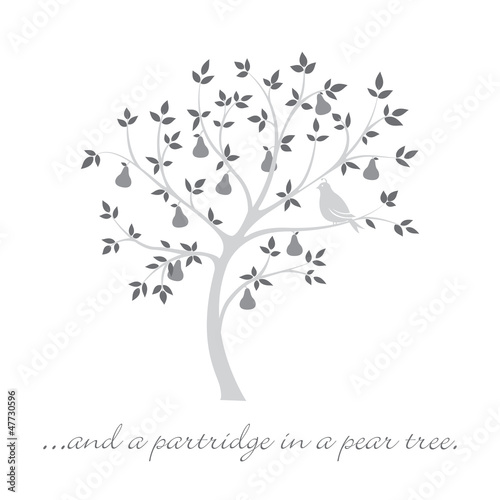 Partridge in a pear tree Christmas card in vector format.