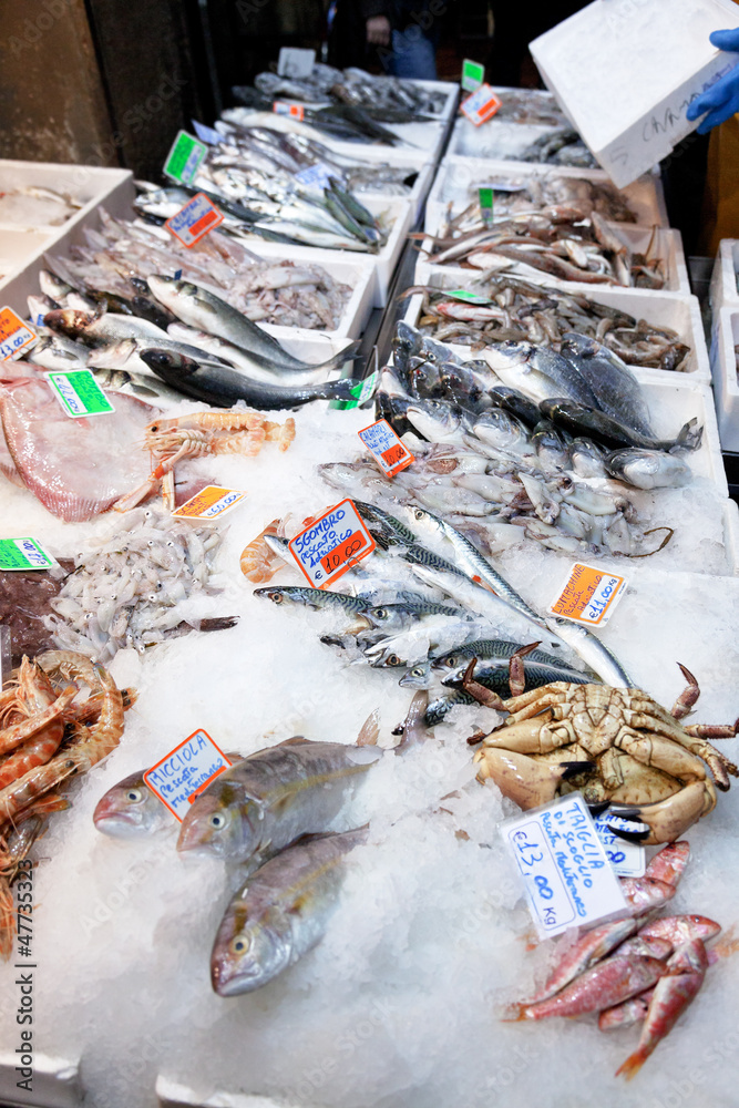 fresh cool fish on ice at street market fresh cool fish on ice at street market