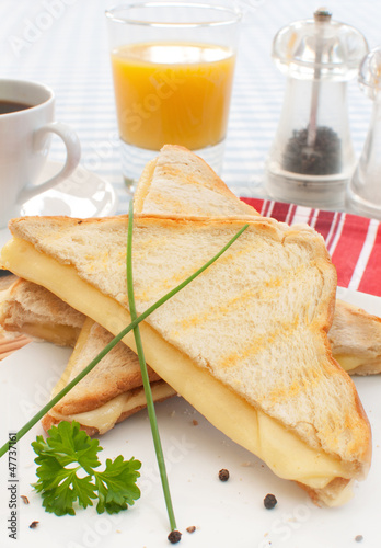 Toasted sandwich
