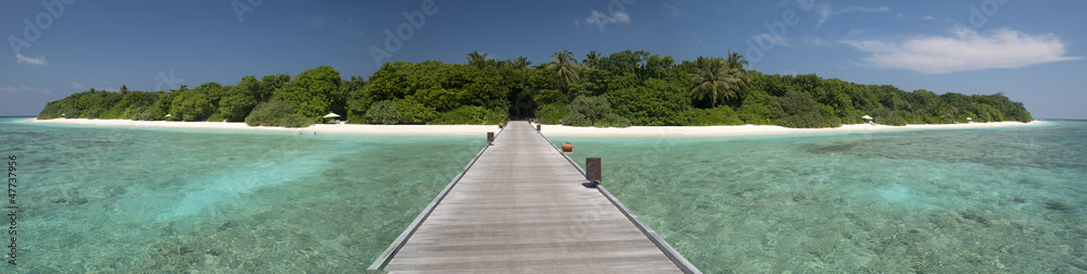 Tropical maldivian island
