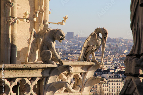 Paris cathedrale Notre Dame gargouille photo