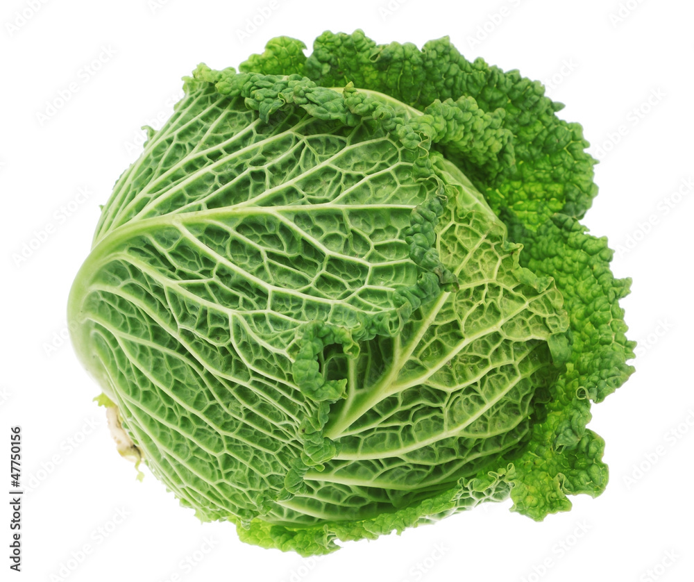 Fresh green head of cabbage. On a white background. Fresh green head of cabbage. On a white background.