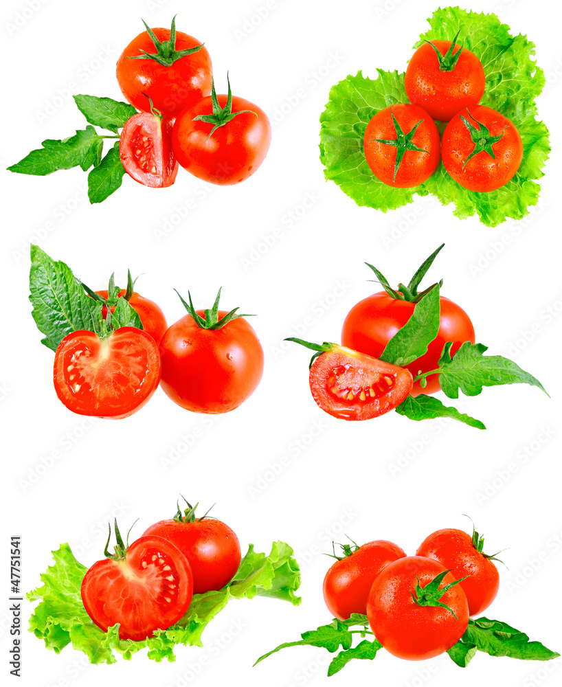 Collection of ltomatoes with green branch.Isolated Collection of ltomatoes with green branch.Isolated