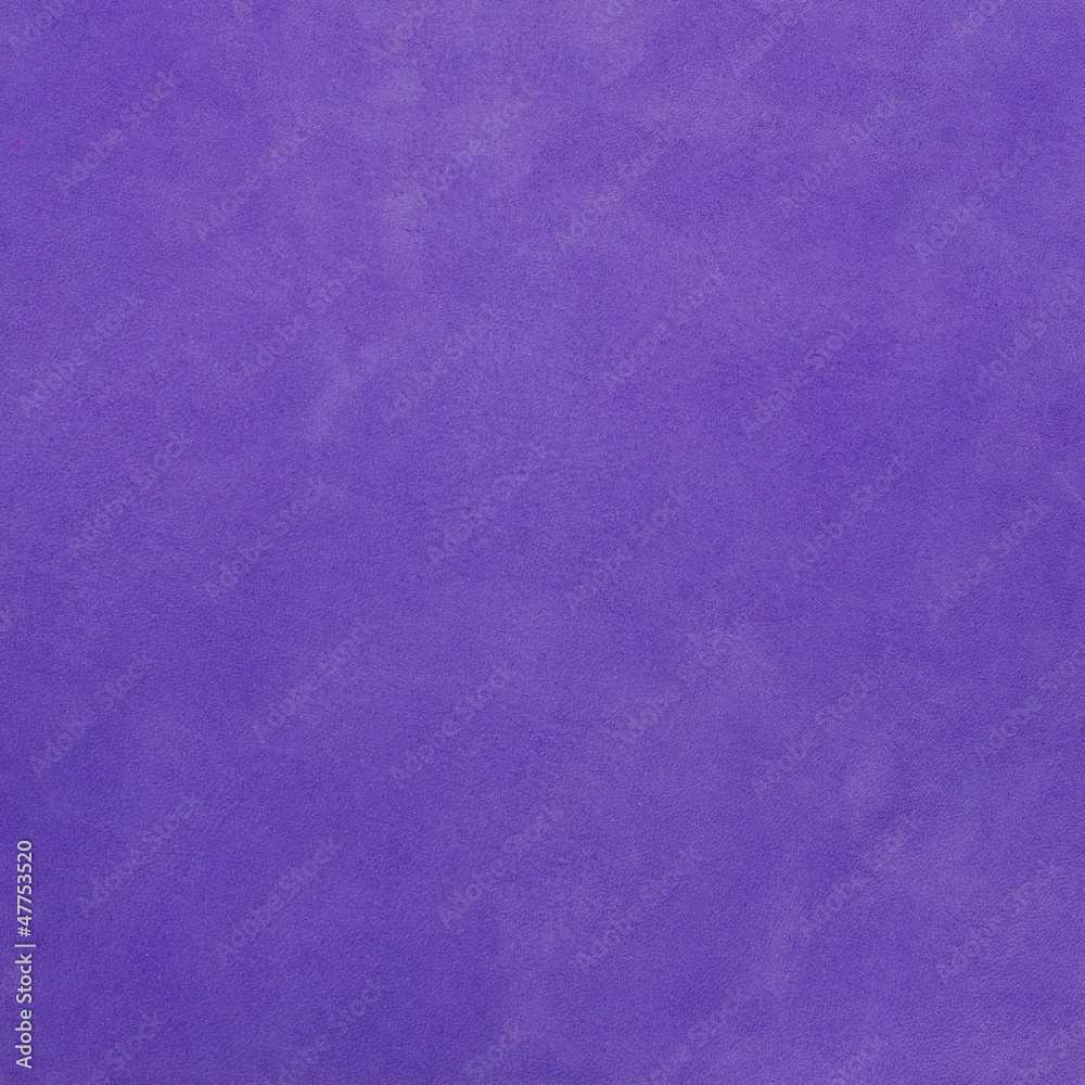 Fototapeta premium Purple suede