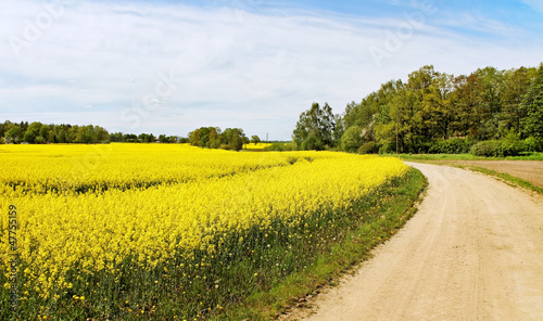 Country landscape.