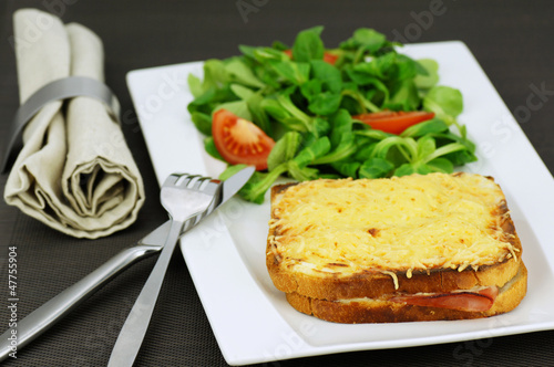 Fototapeta Naklejka Na Ścianę i Meble -  croque monsieur 1