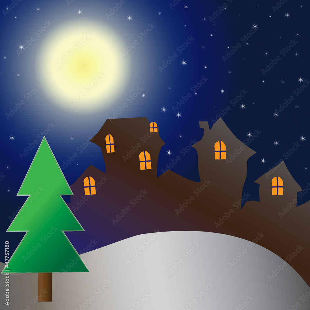 Fototapeta premium House on christmas day