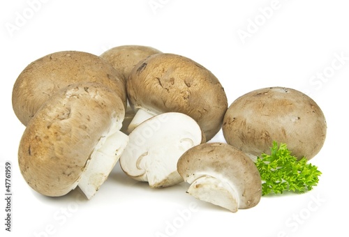 A group of fresh brown mushrooms on a white background