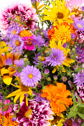 Fototapeta Naklejka Na Ścianę i Meble -  beautiful bouquet of bright flowers close-up