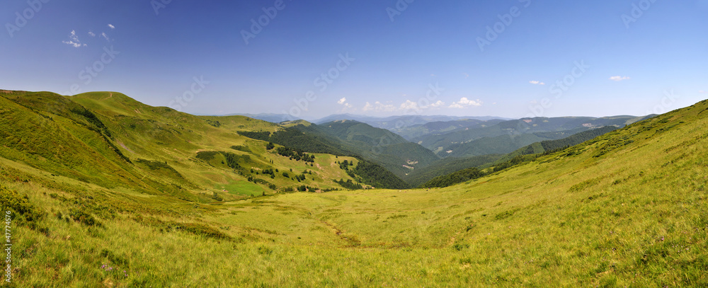 Summer mountain landscape