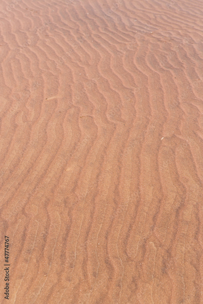 Désert de sable Namibien Désert de sable Namibien