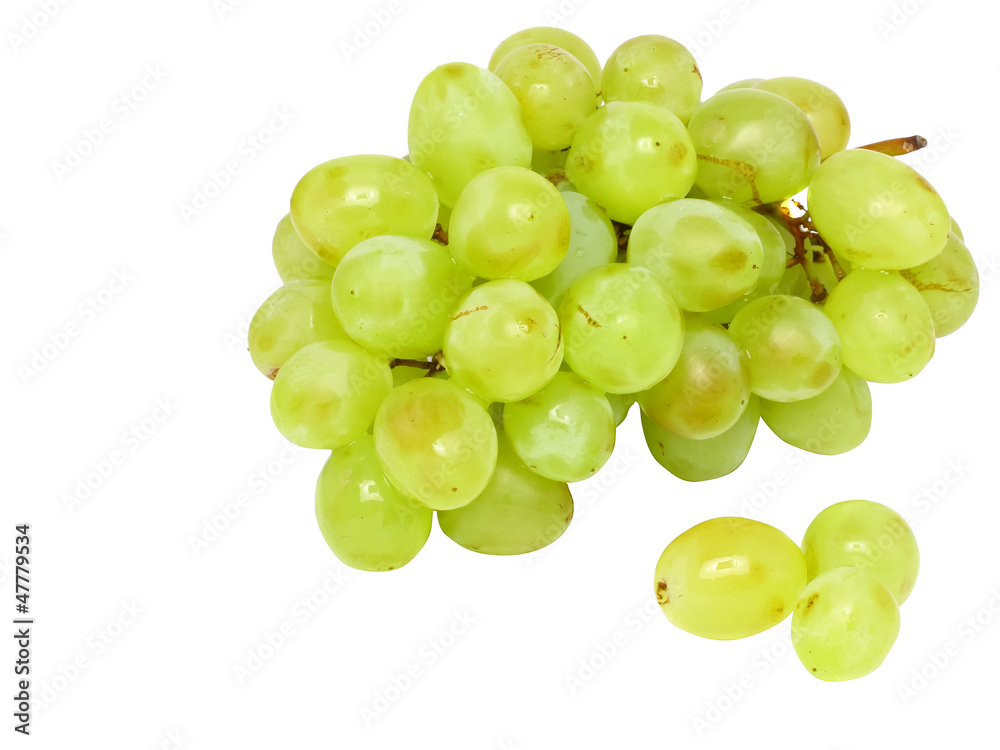 Branch of green grapes . Isolated