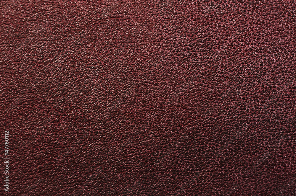Fototapeta premium brown leather