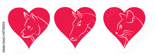 j'aime les chats chiens et chevaux