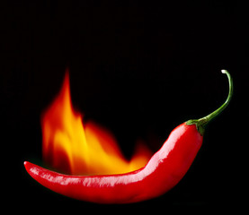 Papier peint photo Piments forts Piment rouge consumé par flammes  © Mara Zemgaliete