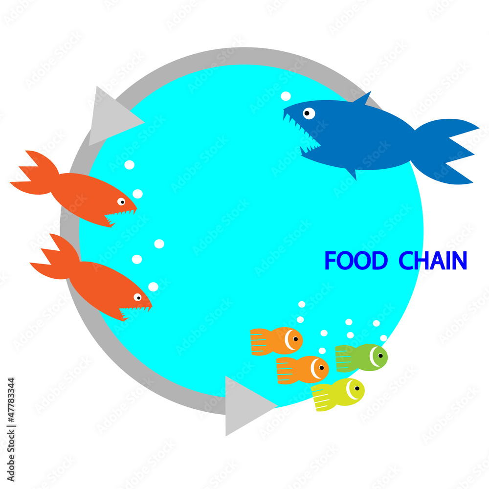 food chain a small fish is food for big fishmetaphorical Stock Vector Biology Diagrams