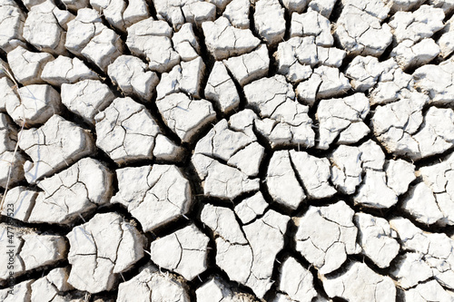 Quadro em tela dry land, Parc Regional de Camargue, Provence, France