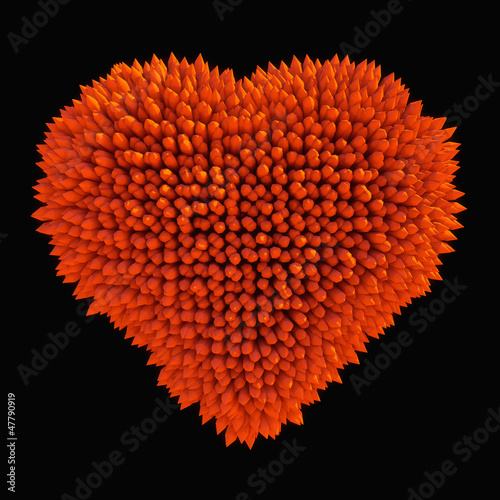 Dangerous love: sharp acidotus heart shape isolated photo