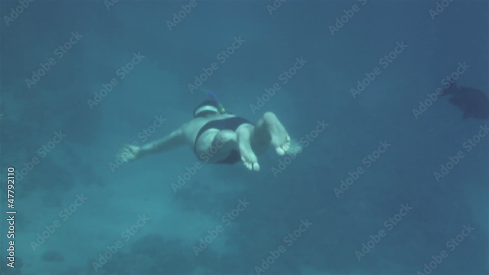 man diver swims among the corals of the red sea man diver swims among the corals of the red sea
